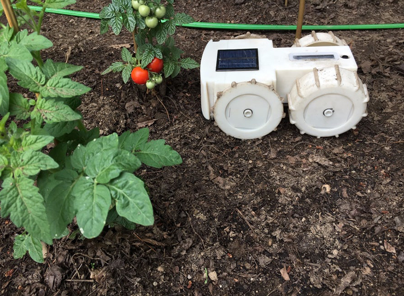 weed，robot，weeds，intelligence，convenient，