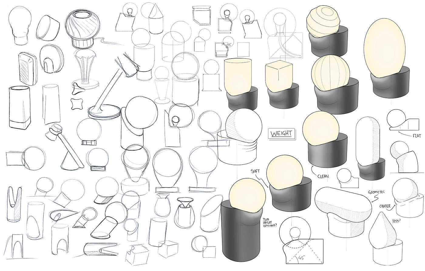 lamp，lighting，3D printing，Botany，