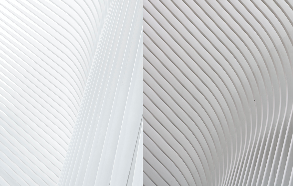 tool，Kitchenware，disinfect，Sharpen a knife，