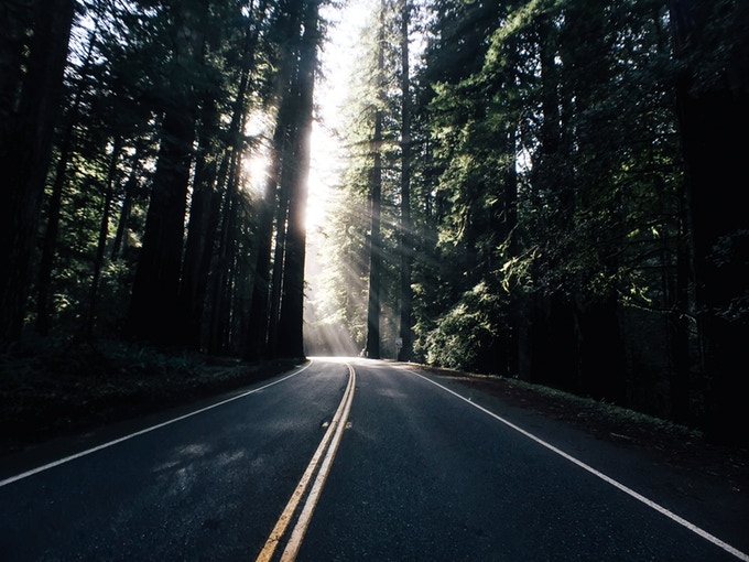 intelligence，Mobile phone shell，Apple，convenient，shot，life，