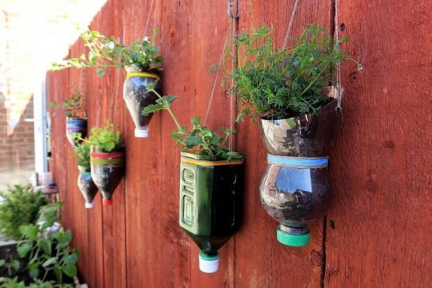Beverage bottle，Flowerpot，originality，Home，