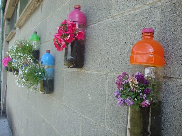 Beverage bottle，Flowerpot，originality，Home，