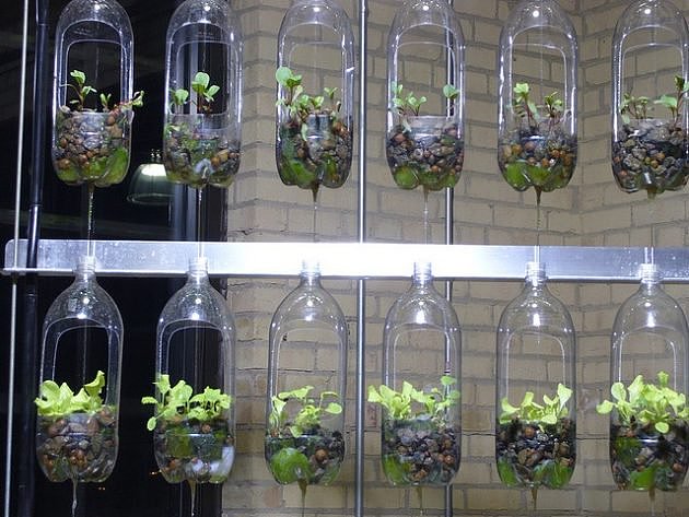 Beverage bottle，Flowerpot，originality，Home，