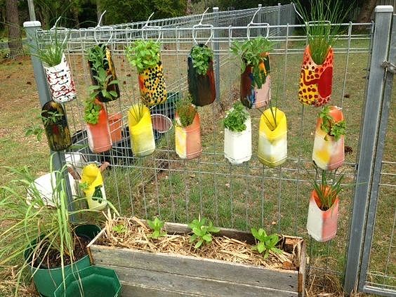 Beverage bottle，Flowerpot，originality，Home，