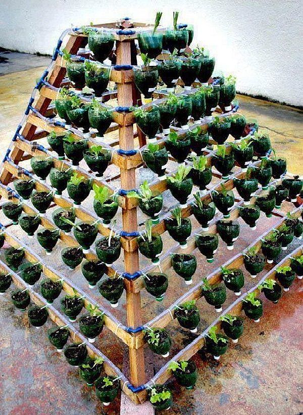 Beverage bottle，Flowerpot，originality，Home，