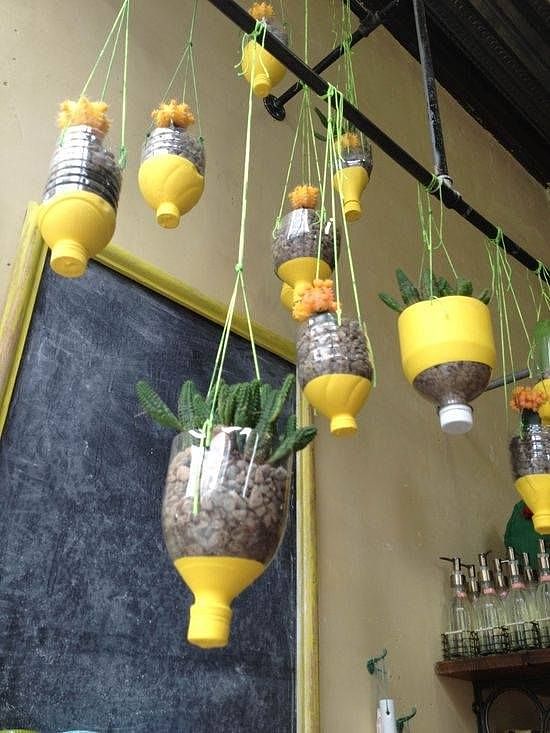 Beverage bottle，Flowerpot，originality，Home，