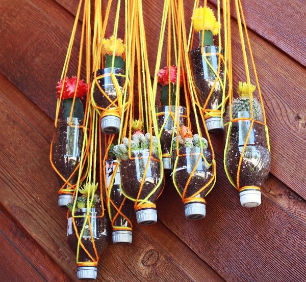 Beverage bottle，Flowerpot，originality，Home，