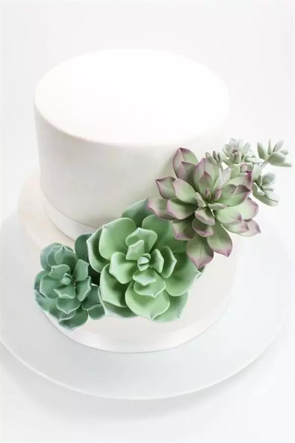 originality，food，Botany，Fleshy，Cake，