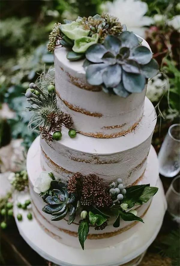 originality，food，Botany，Fleshy，Cake，