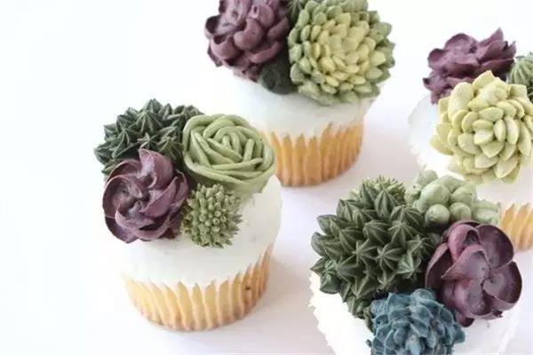 originality，food，Botany，Fleshy，Cake，