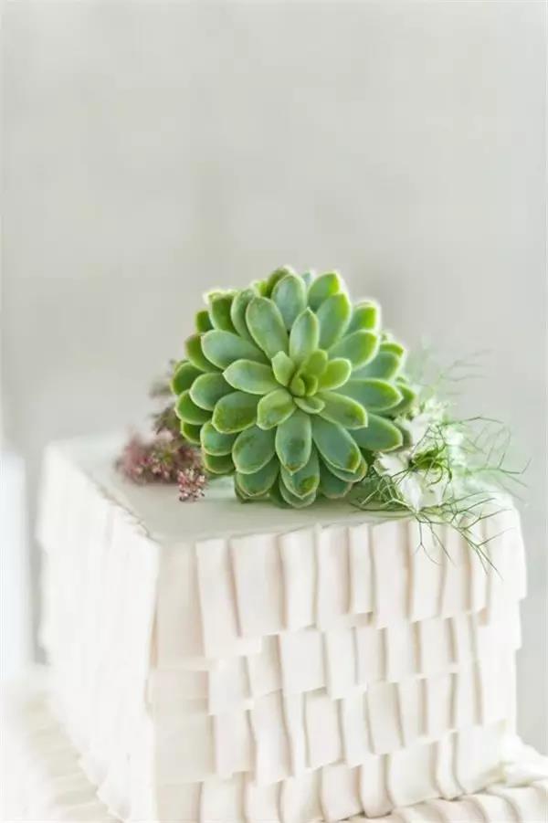 originality，food，Botany，Fleshy，Cake，