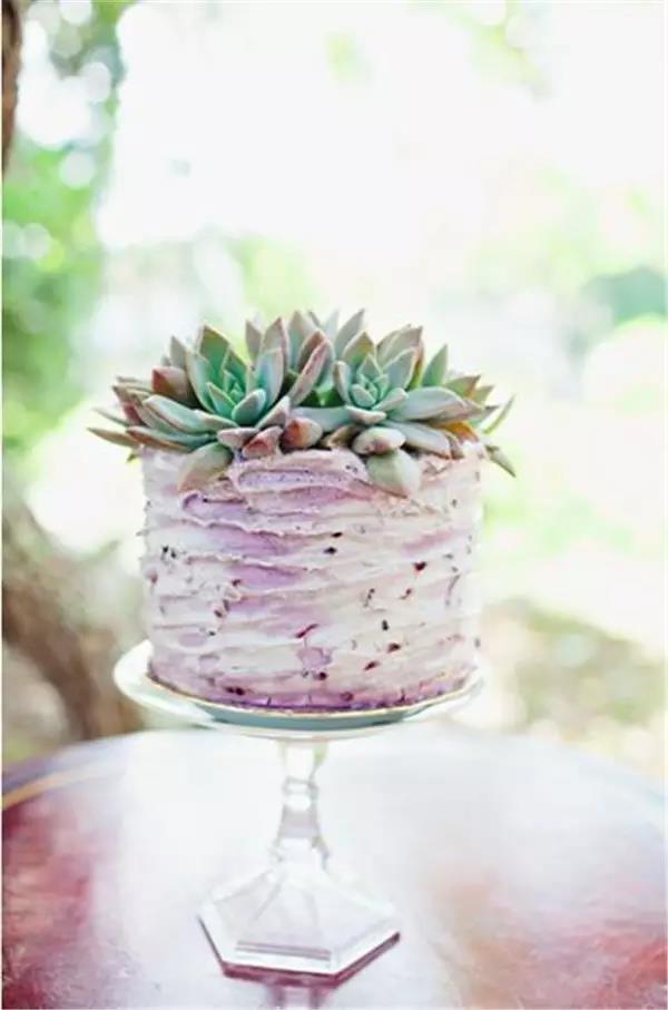 originality，food，Botany，Fleshy，Cake，