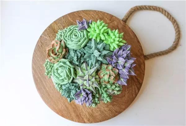 originality，food，Botany，Fleshy，Cake，