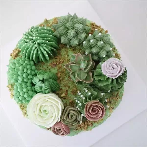 originality，food，Botany，Fleshy，Cake，