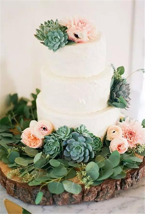 originality，food，Botany，Fleshy，Cake，