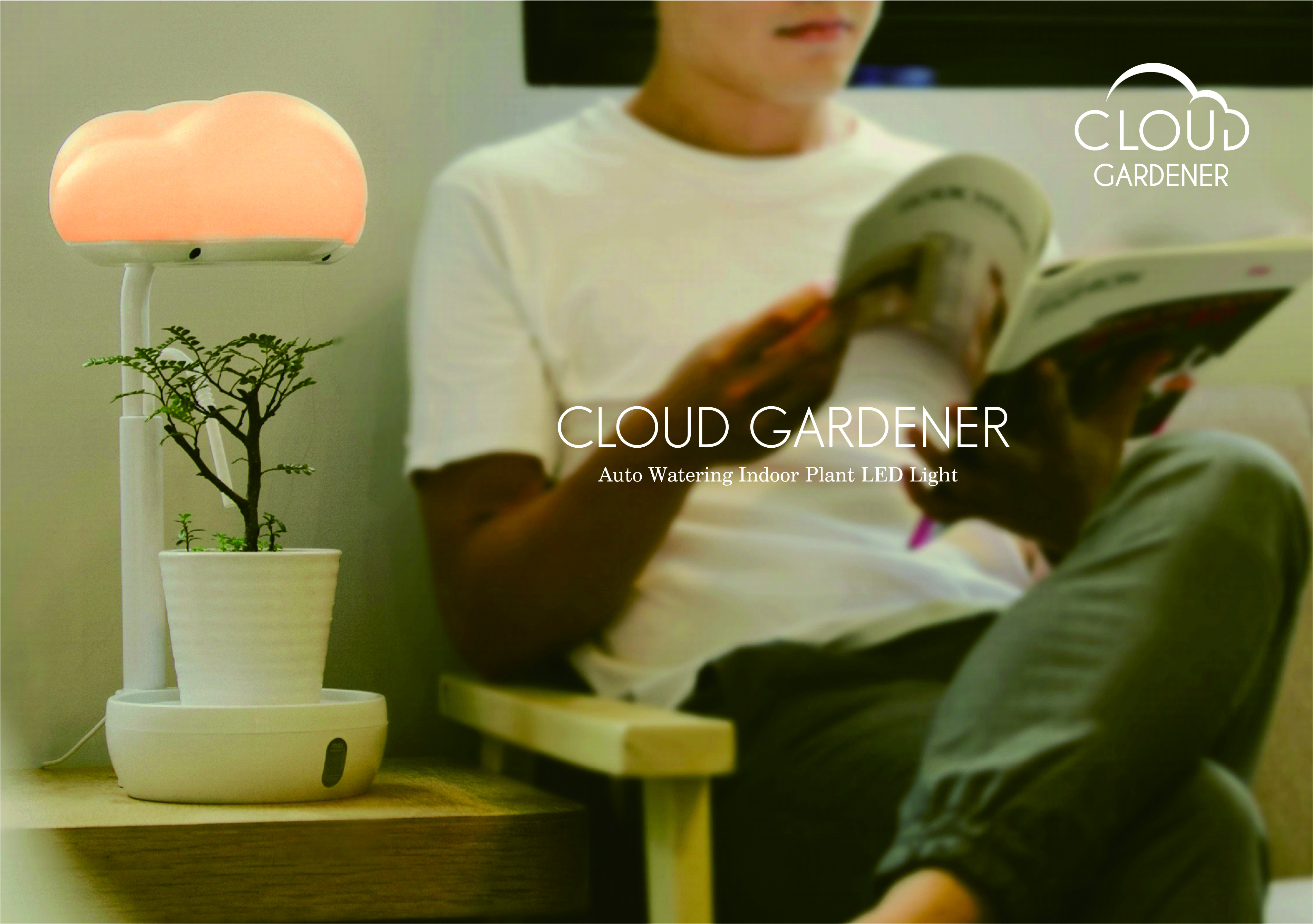 Plant care / atmosphere building，