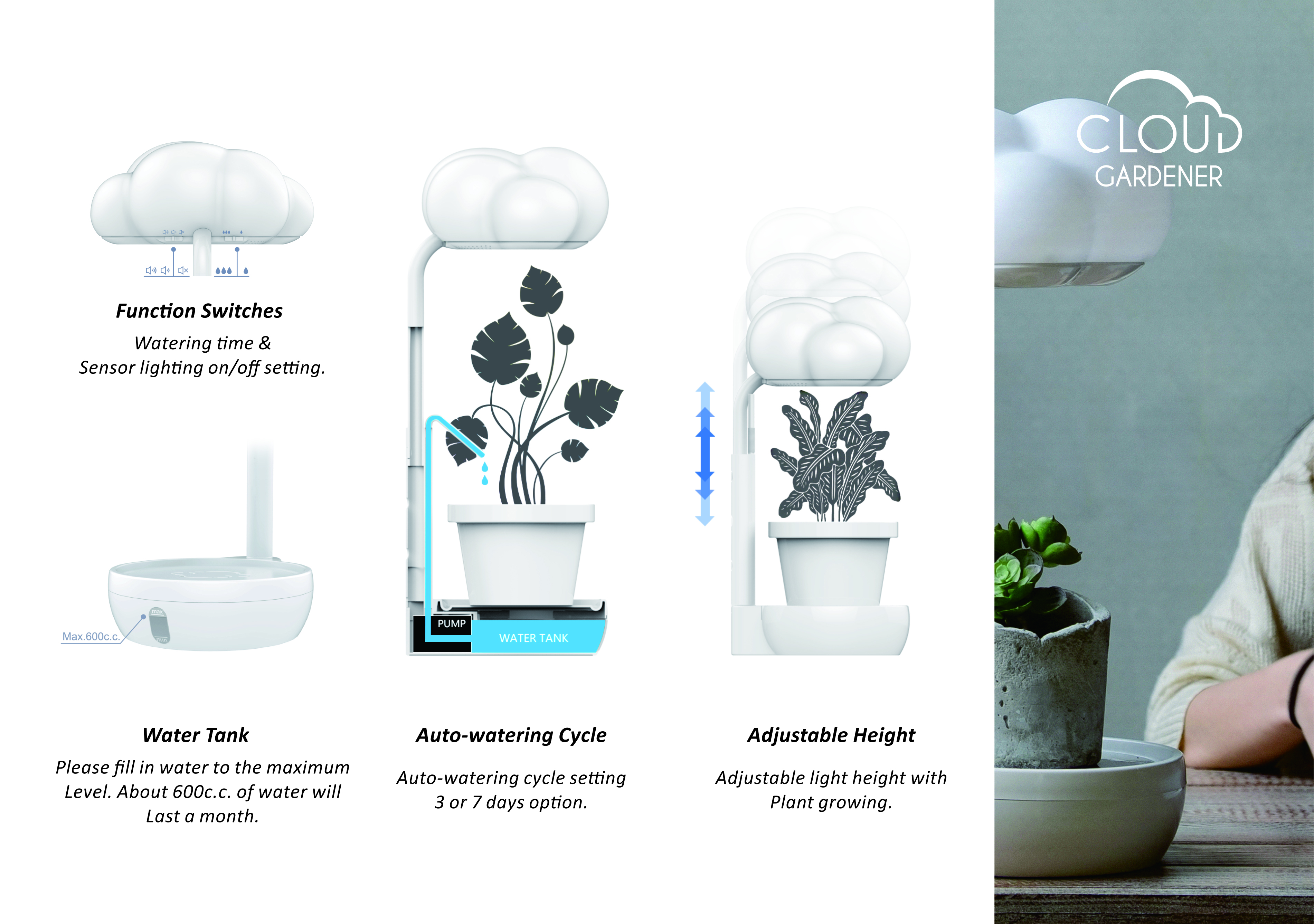 Plant care / atmosphere building，