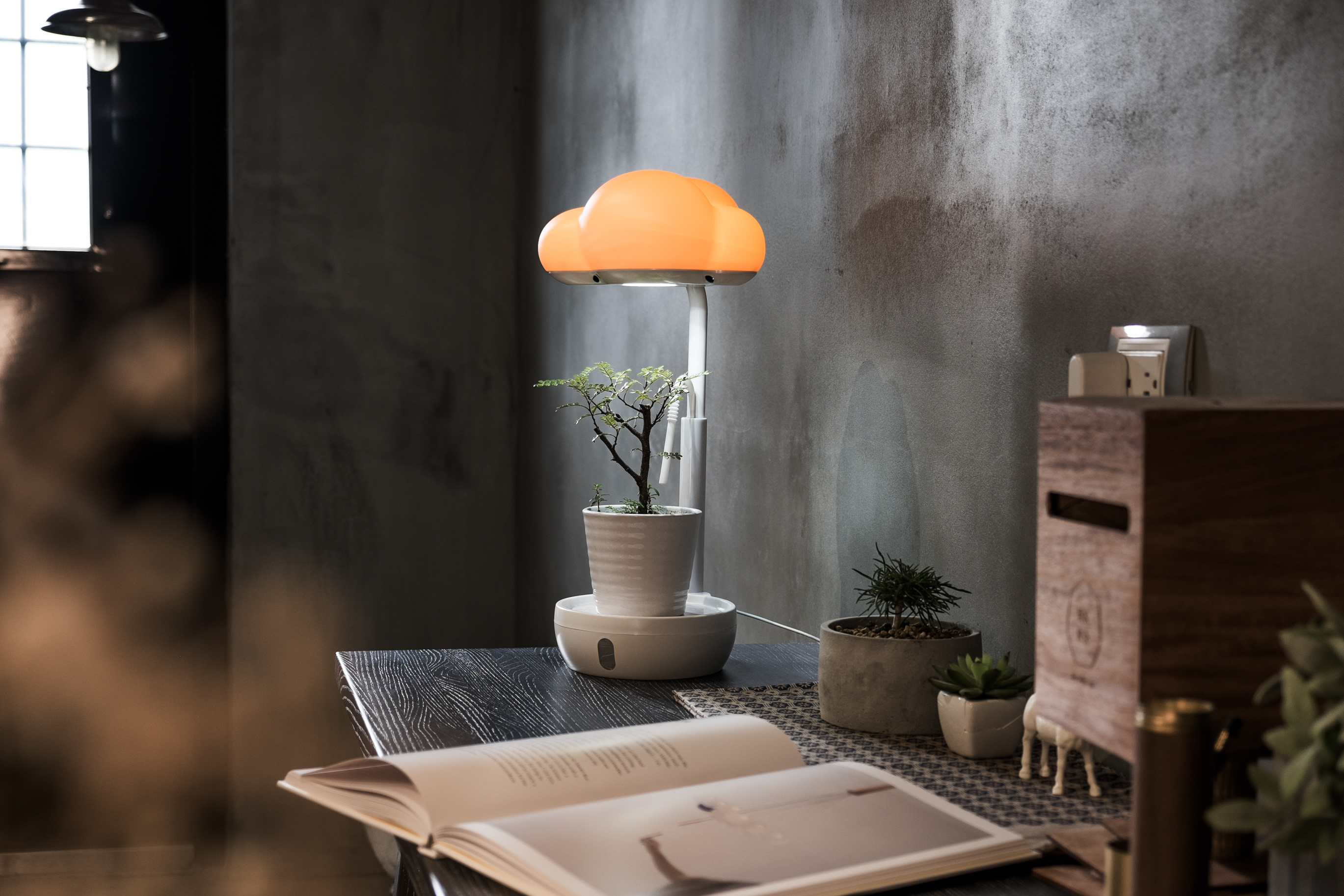 Plant care / atmosphere building，