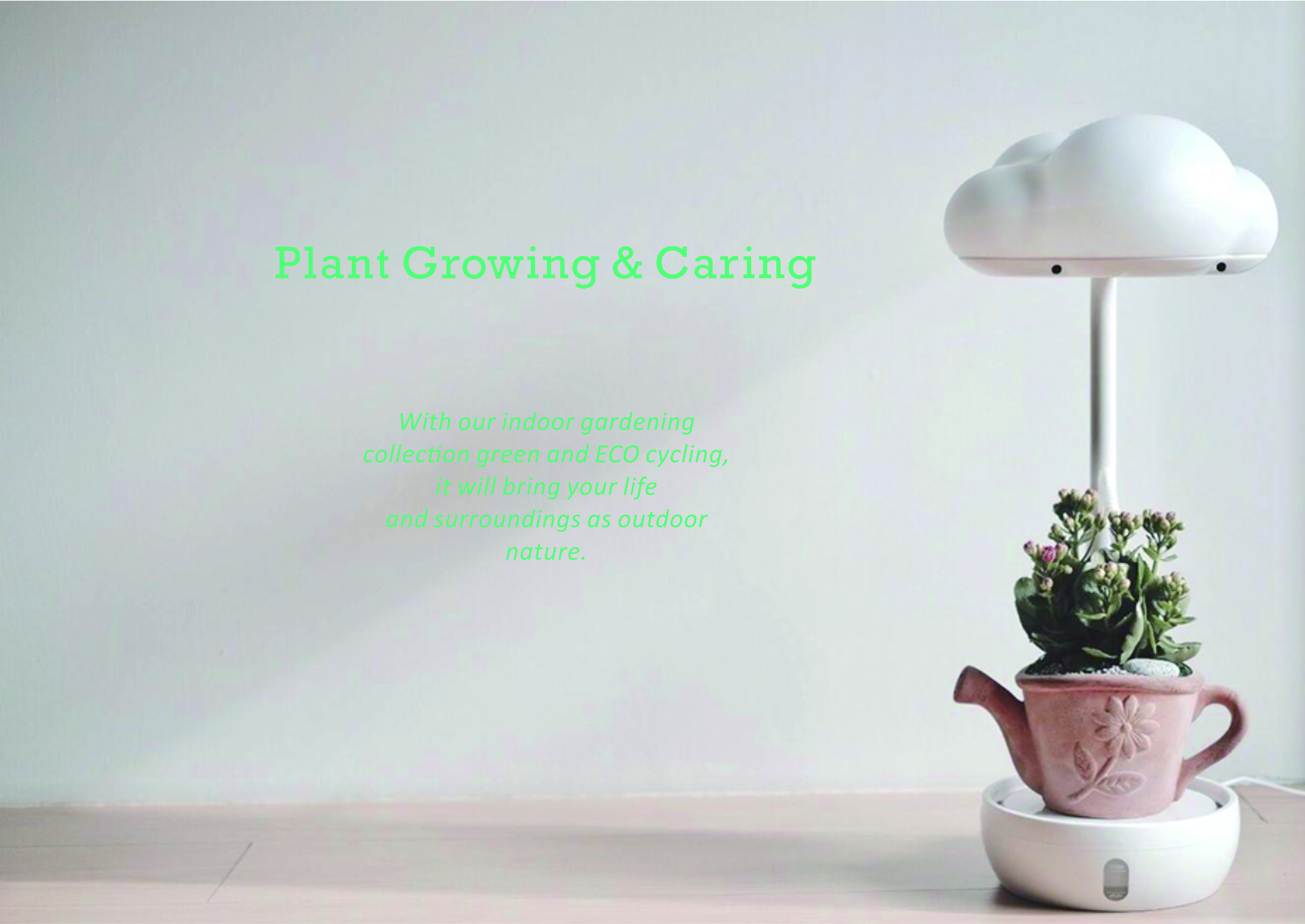 Plant care / atmosphere building，