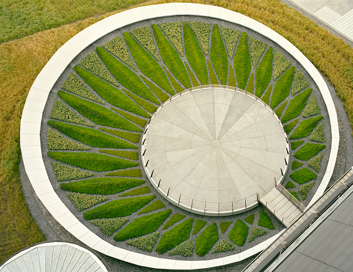 Transformation of old factories，Mexican steel Museum，Landscape design，