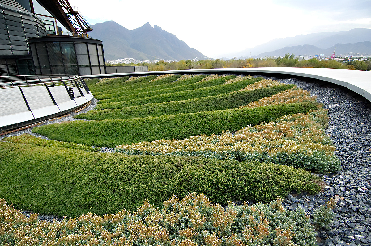 Transformation of old factories，Mexican steel Museum，Landscape design，