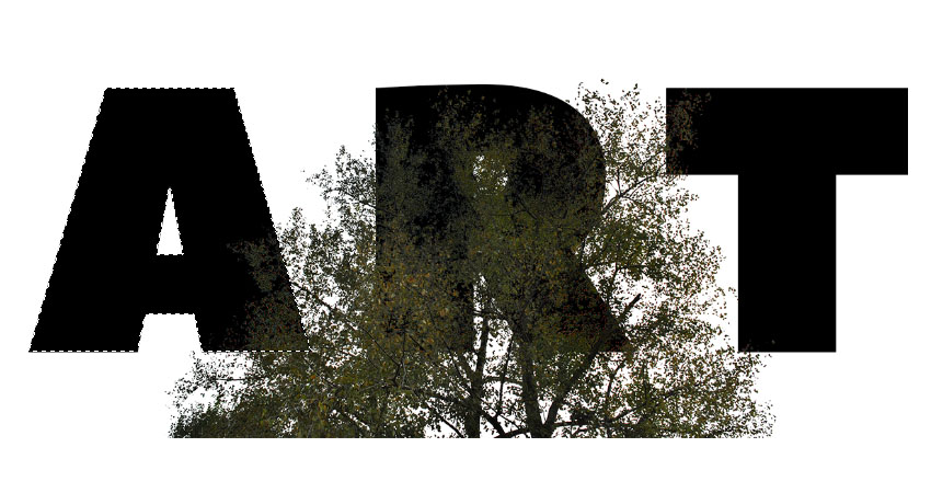 ps，course，Text effect，Double exposure，dried food，