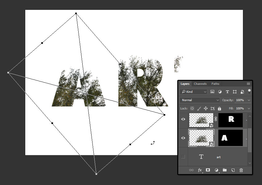 ps，course，Text effect，Double exposure，dried food，