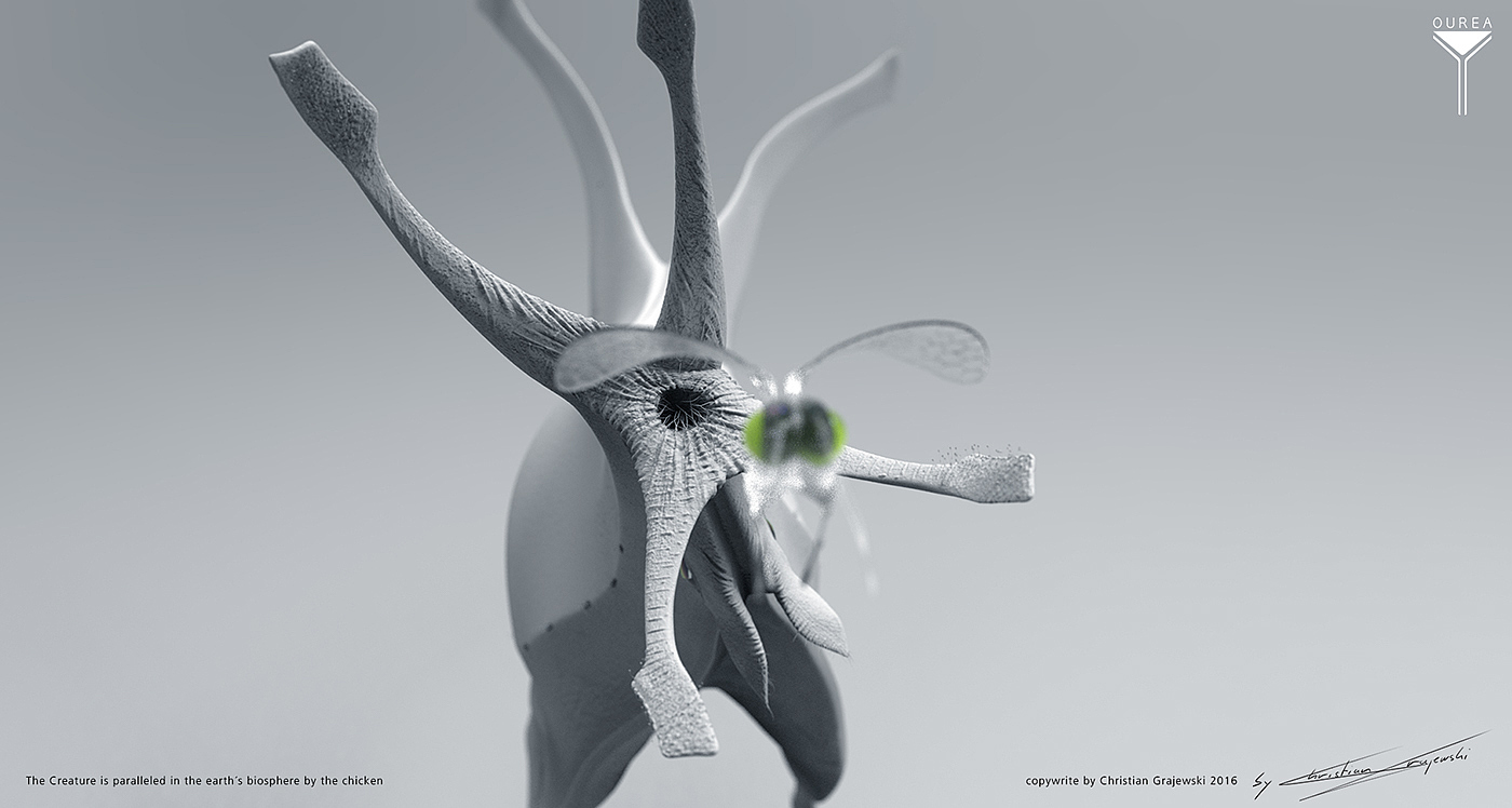 Alien，chicken，concept，Character design，