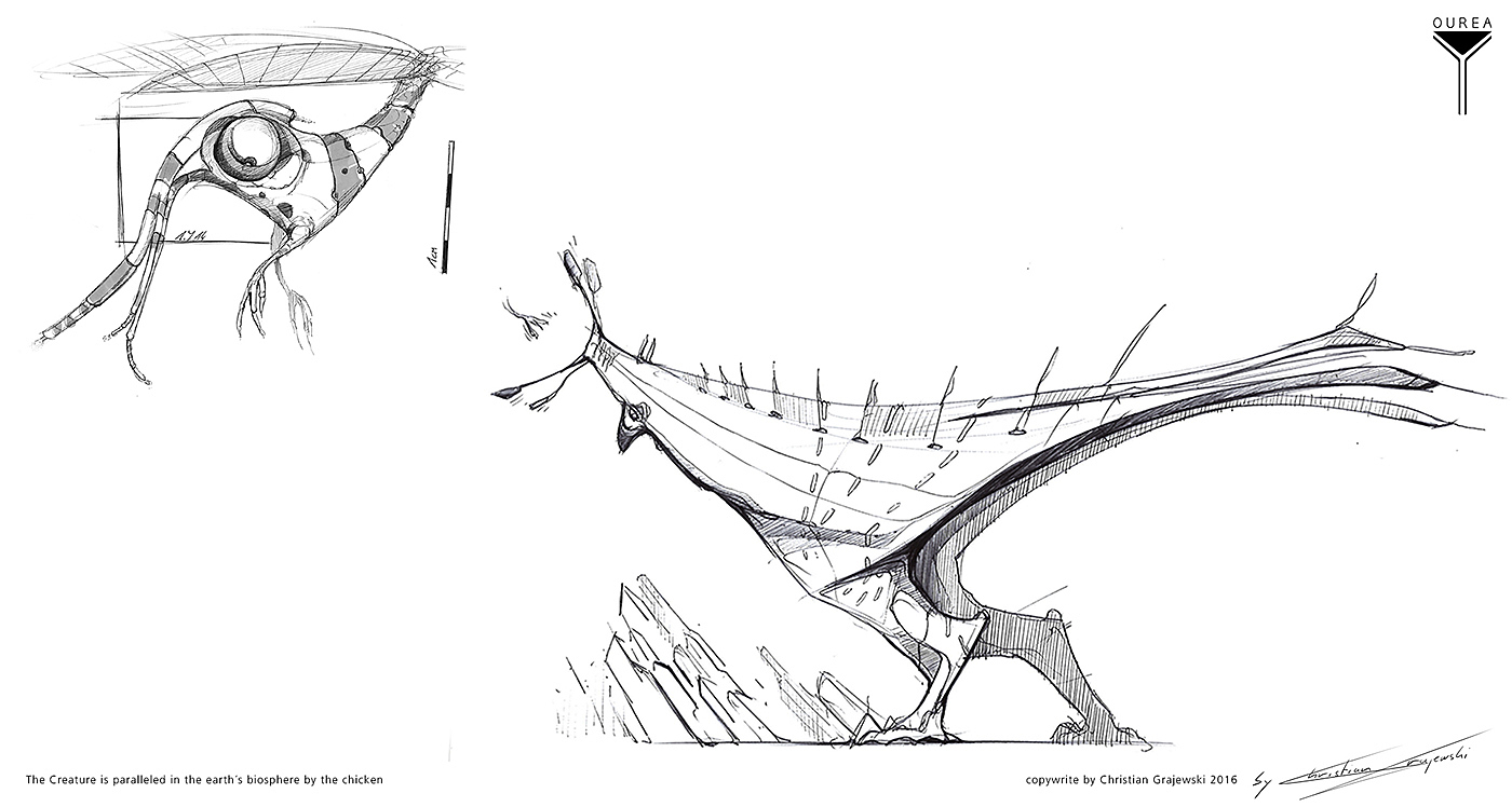 Alien，chicken，concept，Character design，