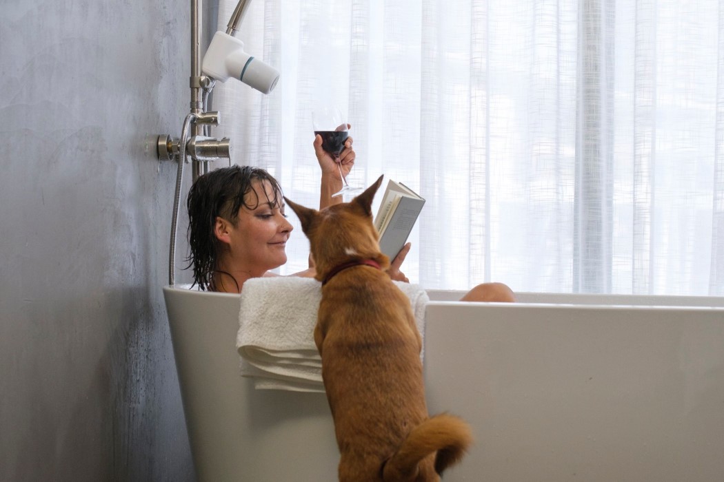 ampere，Bluetooth Yang，speaker，