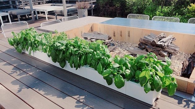 plant，convenient，life，simple and easy，