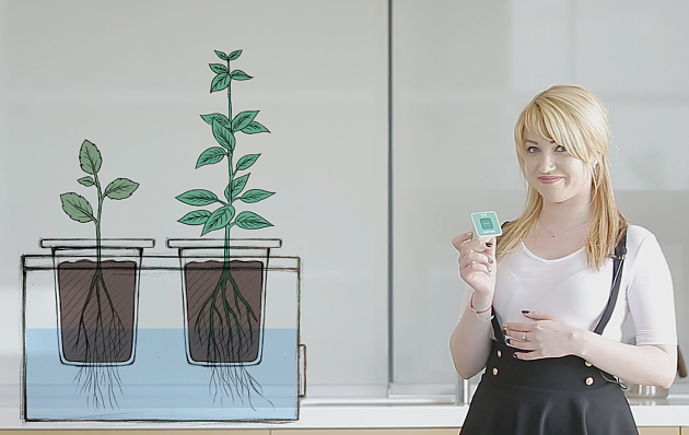 plant，convenient，life，simple and easy，