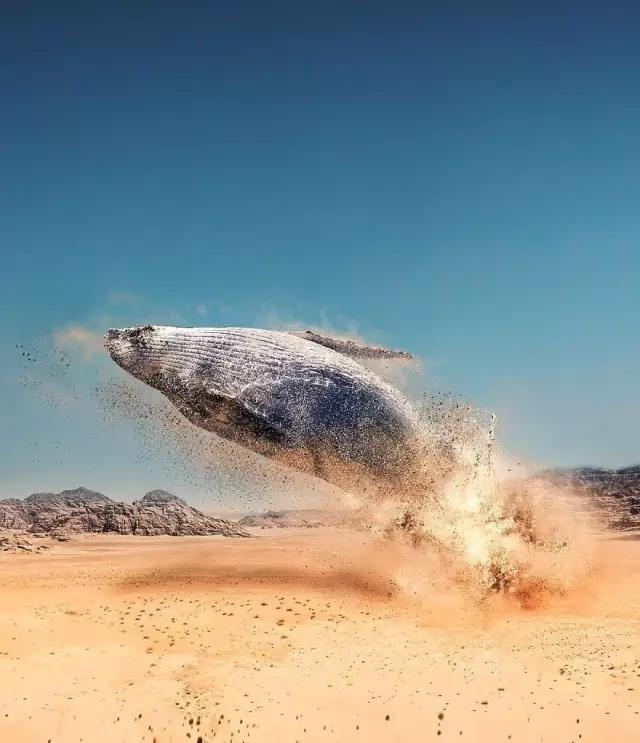 computer，ps，Fine Arts，Revision，Design，