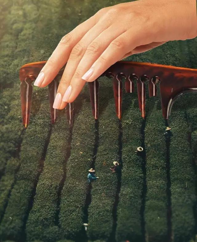 computer，ps，Fine Arts，Revision，Design，