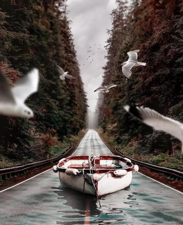 computer，ps，Fine Arts，Revision，Design，