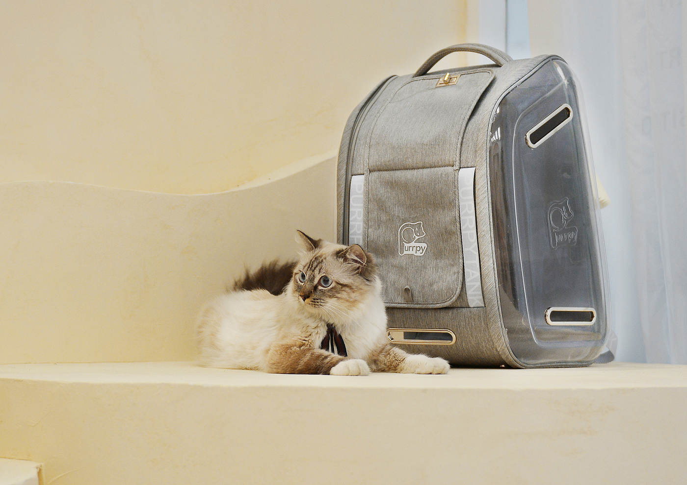 Cat bag，Pet bag，，tank，