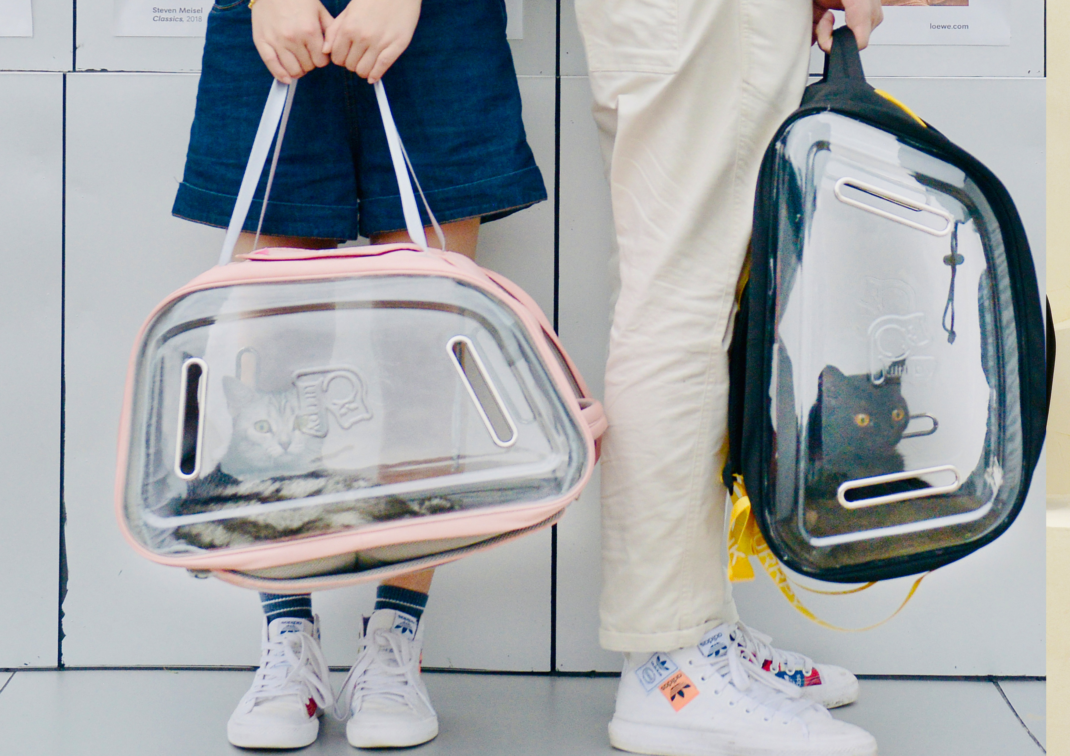 Cat bag，Pet bag，，tank，