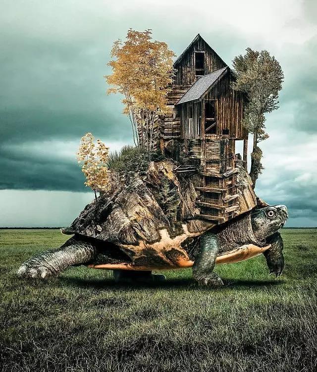 computer，ps，Fine Arts，Revision，Design，