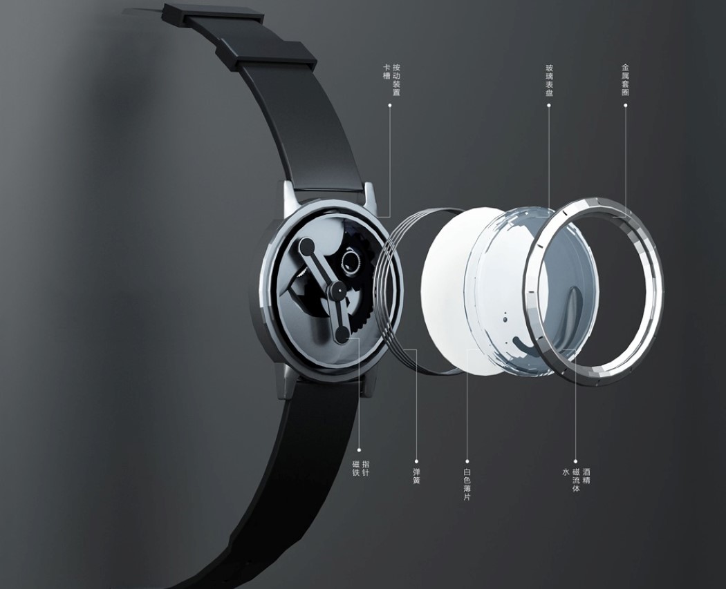 Wrist watch，INK-MAGNETIC，Ferromagnetic cavity，