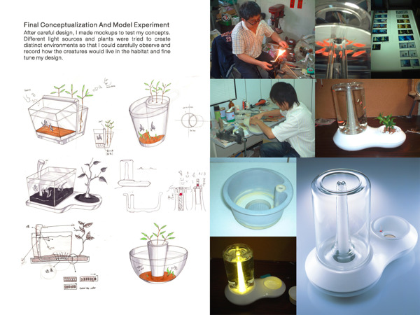 fish tank，Home Furnishing，fish，