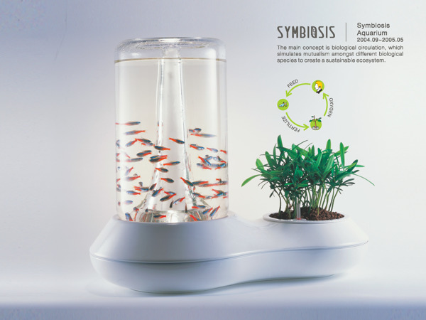 fish tank，Home Furnishing，fish，