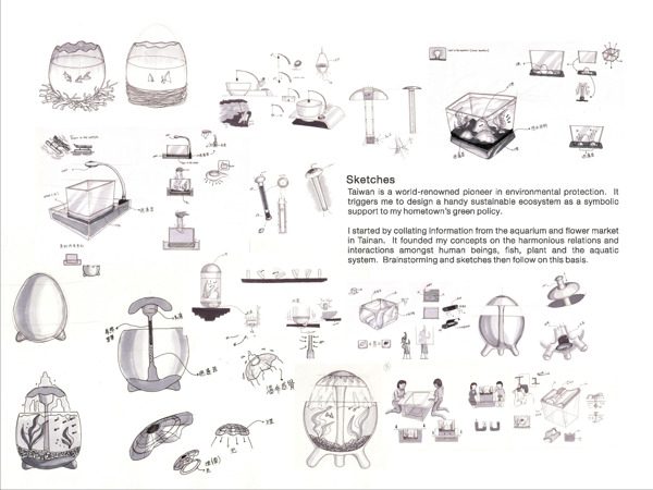 fish tank，Home Furnishing，fish，