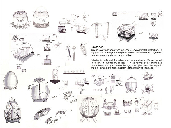fish tank，Home Furnishing，fish，