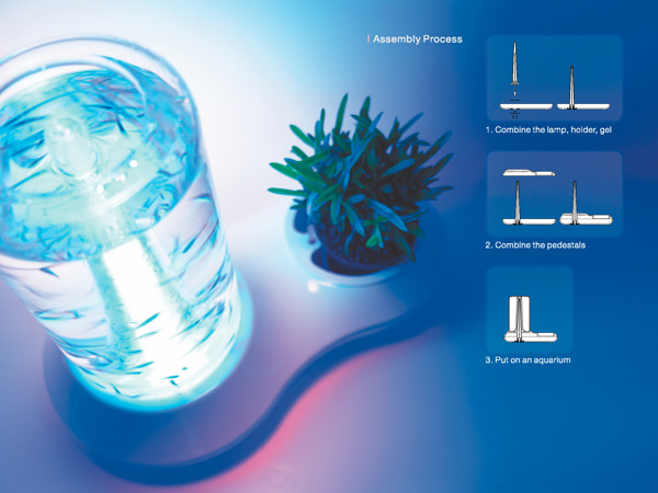 fish tank，Home Furnishing，fish，