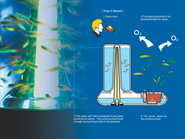 fish tank，Home Furnishing，fish，