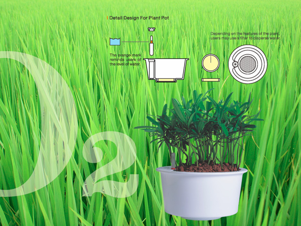 fish tank，Home Furnishing，fish，