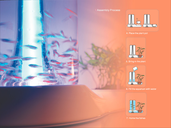 fish tank，Home Furnishing，fish，