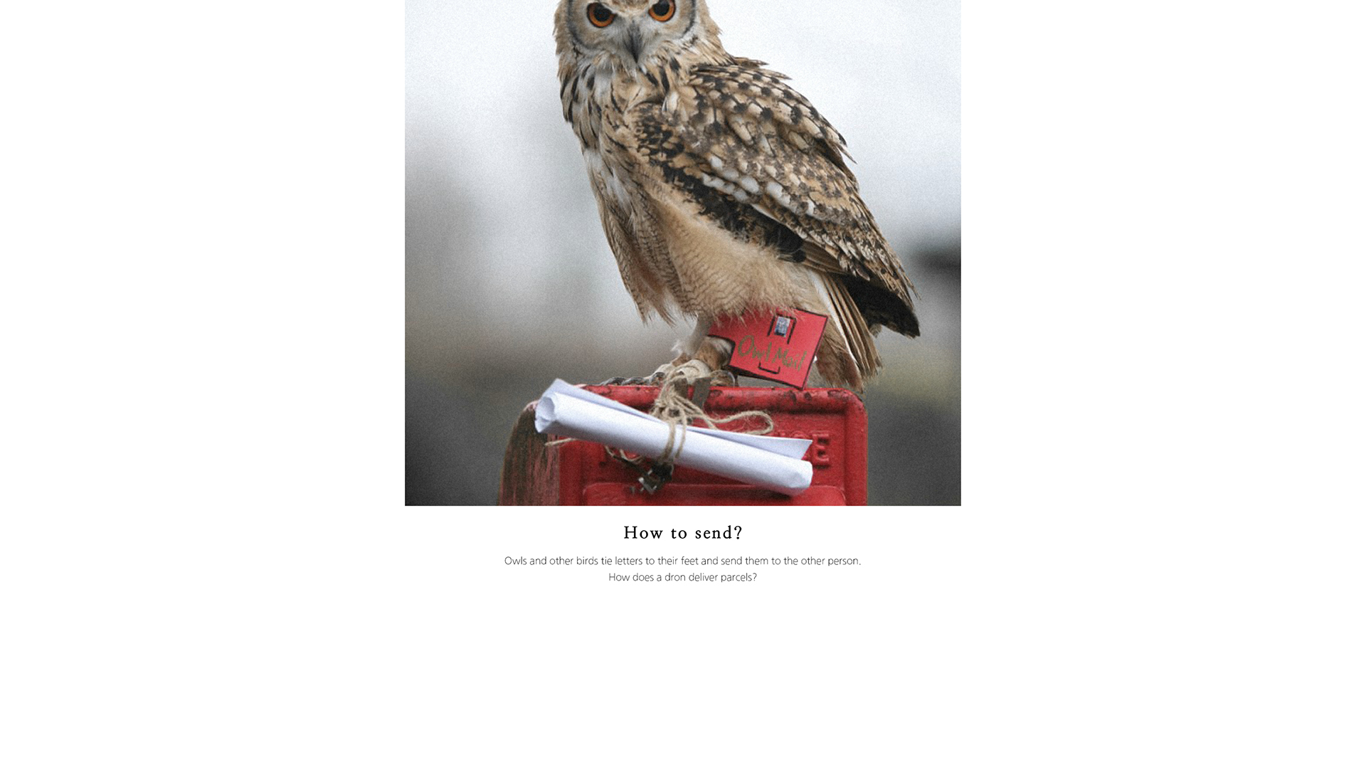 Harry Potter，Amazon，Delivery drone，Parcel box，conceptual design，