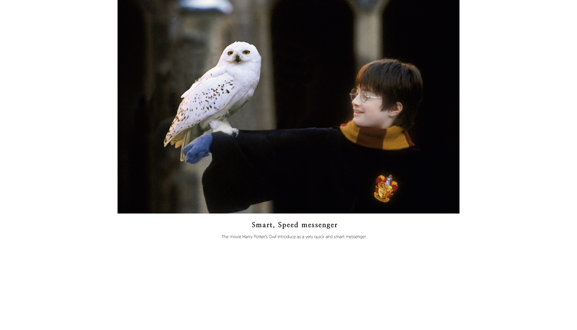 Harry Potter，Amazon，Delivery drone，Parcel box，conceptual design，