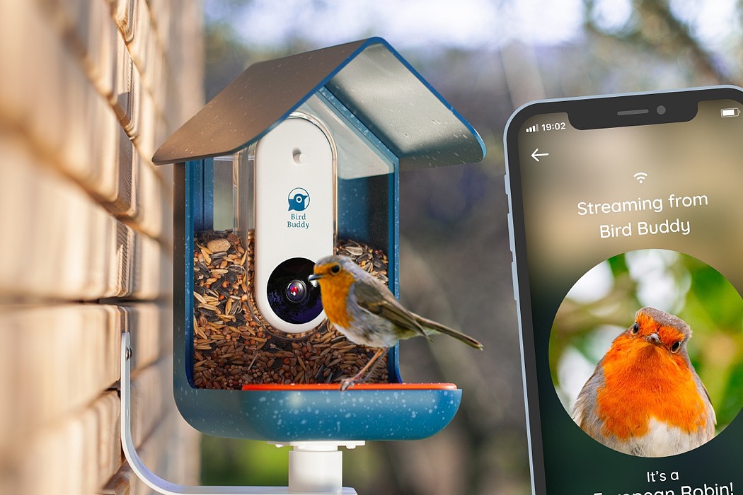 Bird Buddy，Feeder，birds，